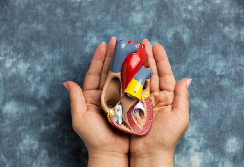 Lab Investigations: Kidney Function Tests You Need to Know!